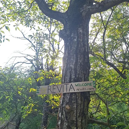 Hostel Revita Stone House