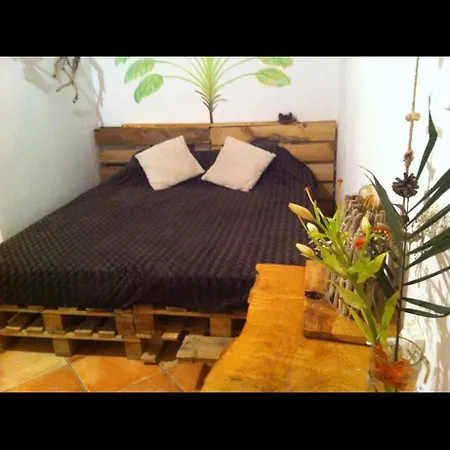 Revita Stone House ホステル *