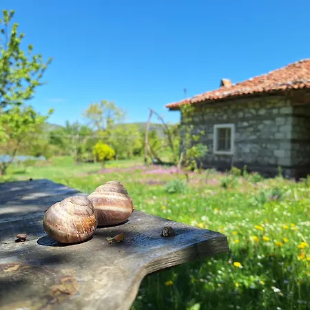 Revita Stone House Albergue Elbasan