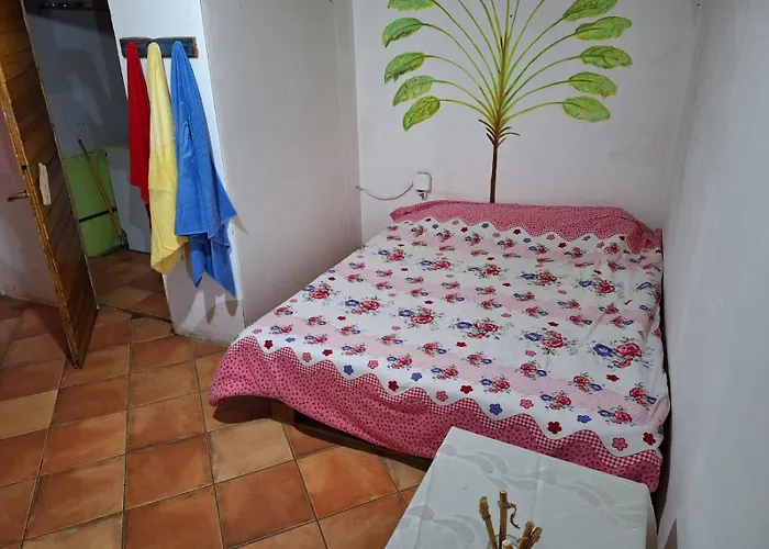 Revita Stone House Auberge de jeunesse