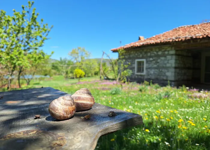 Revita Stone House Hostel Elbasan